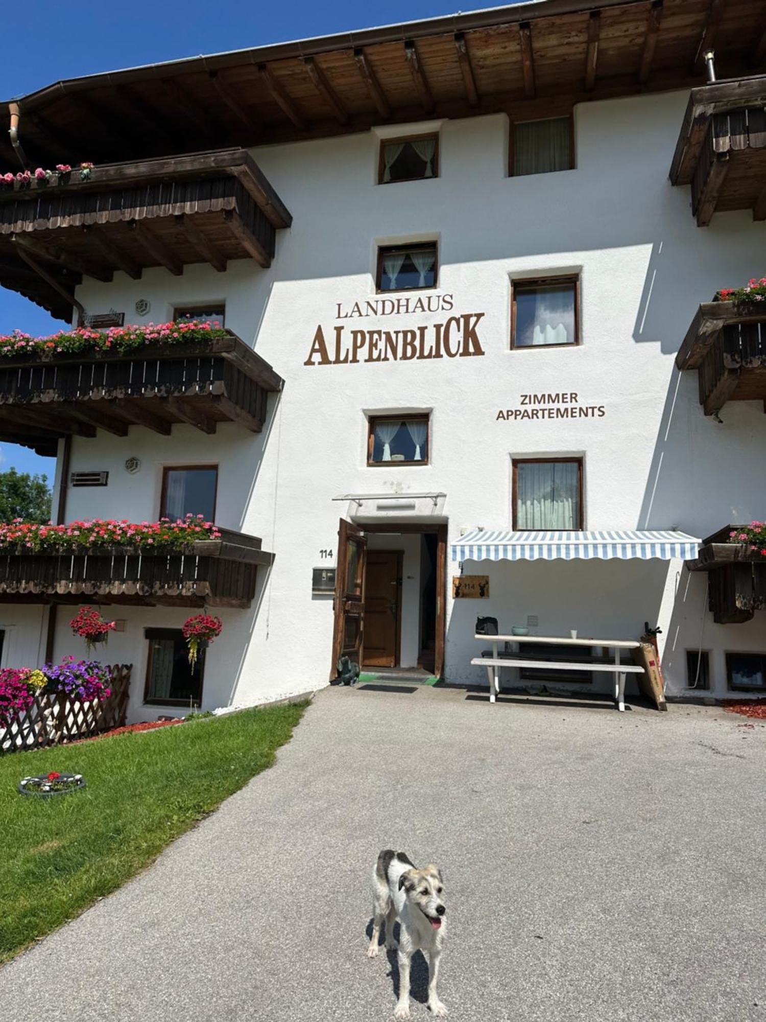 Landhaus Alpenblick Obsteig Esterno foto